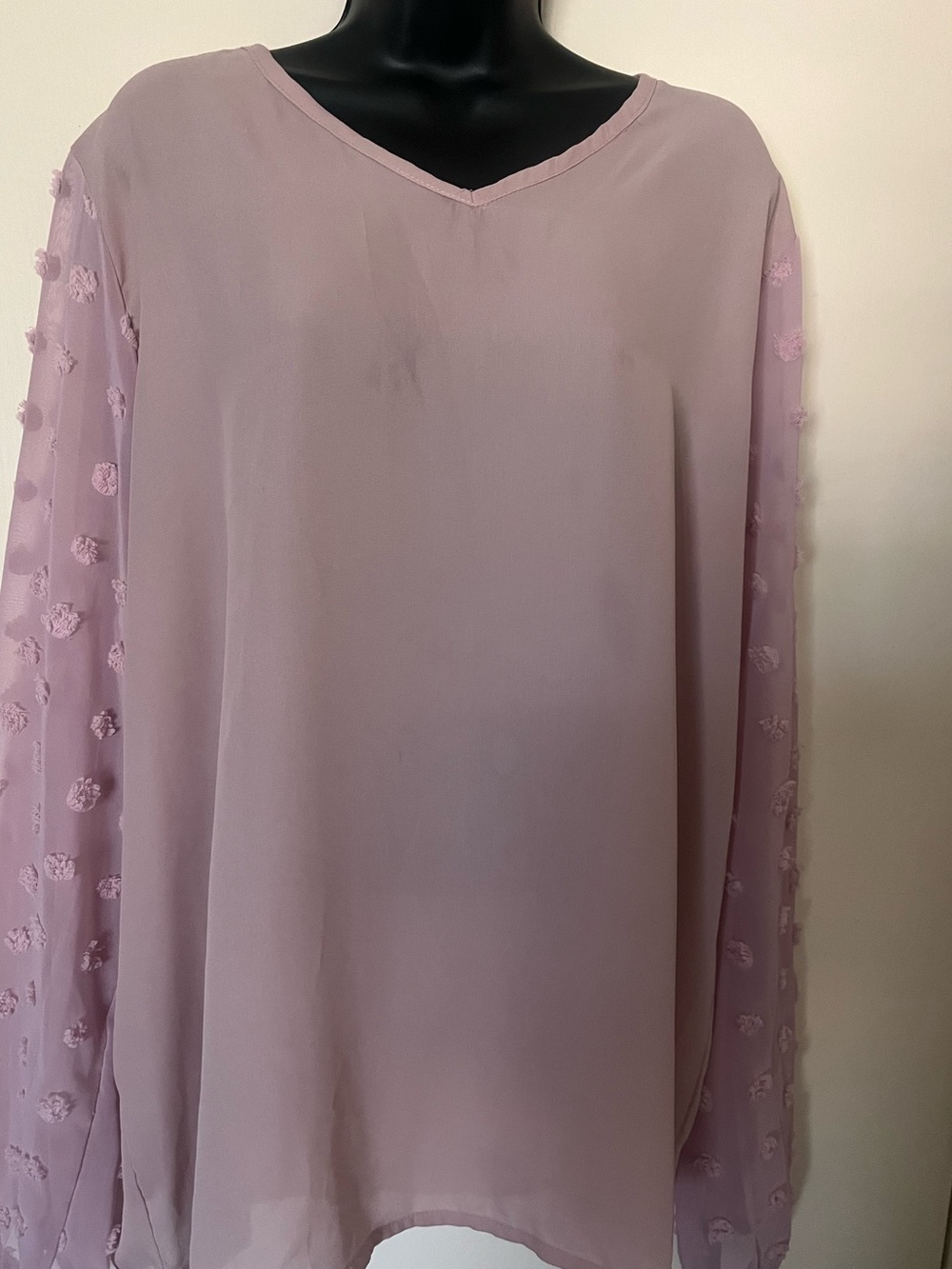 Mauve Sheer Long-Sleeve Blouse